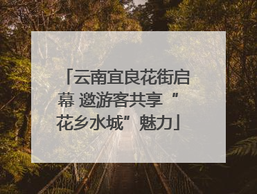 云南宜良花街启幕 邀游客共享“花乡水城”魅力