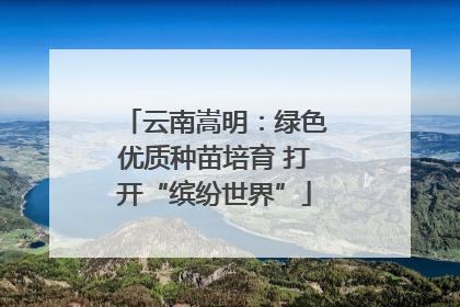云南嵩明：绿色优质种苗培育 打开“缤纷世界”