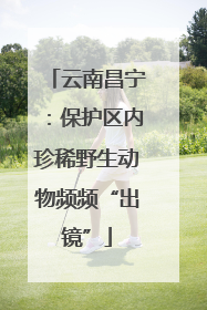 云南昌宁：保护区内珍稀野生动物频频“出镜”