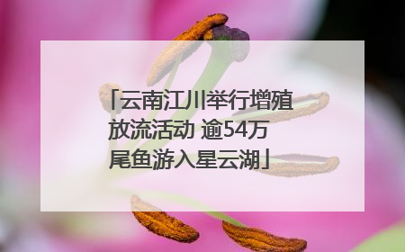云南江川举行增殖放流活动 逾54万尾鱼游入星云湖