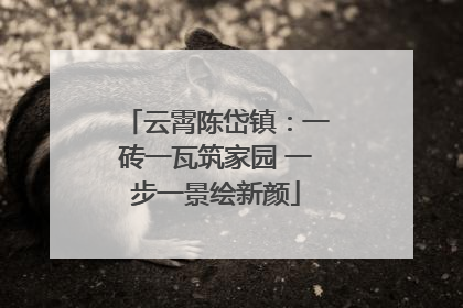 云霄陈岱镇：一砖一瓦筑家园 一步一景绘新颜