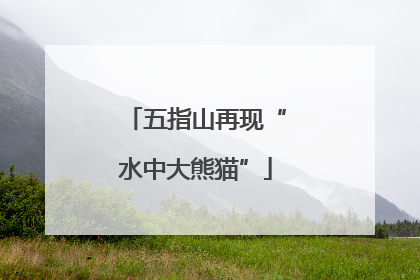 五指山再现“水中大熊猫”
