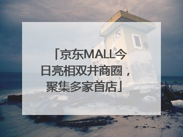 京东MALL今日亮相双井商圈，聚集多家首店