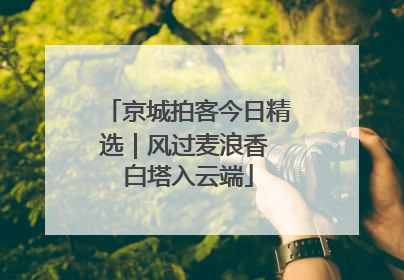 京城拍客今日精选｜风过麦浪香 白塔入云端