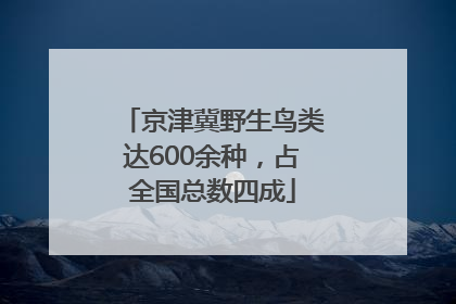 京津冀野生鸟类达600余种，占全国总数四成