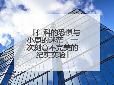 仁科的恐惧与小鹿的迷茫，一次刻意不完美的纪实实验