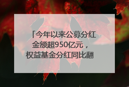 今年以来公募分红金额超950亿元，权益基金分红同比翻倍｜招财猫