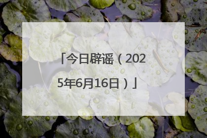 今日辟谣（2025年6月16日）