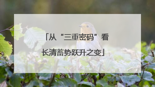 从“三重密码”看长清蓄势跃升之变