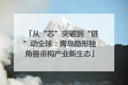 从“芯”突破到“链”动全球：青岛隐形独角兽重构产业新生态