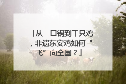 从一口锅到千只鸡，非遗东安鸡如何“飞”向全国？