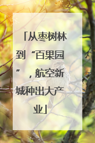 从枣树林到“百果园”，航空新城种出大产业