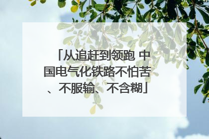 从追赶到领跑 中国电气化铁路不怕苦、不服输、不含糊