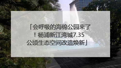 会呼吸的海绵公园来了！杨浦新江湾城7.35公顷生态空间改造焕新
