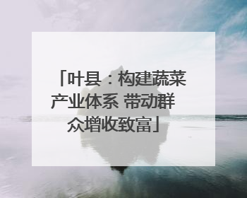 叶县：构建蔬菜产业体系 带动群众增收致富