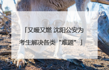 又暖又燃 沈阳公安为考生解决各类“难题”