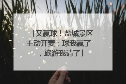 又赢球！盐城景区主动开麦：球我赢了，旅游我请了