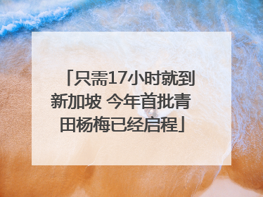 只需17小时就到新加坡 今年首批青田杨梅已经启程