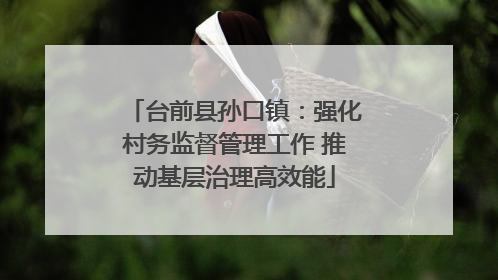 台前县孙口镇：强化村务监督管理工作 推动基层治理高效能
