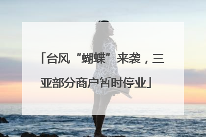 台风“蝴蝶”来袭，三亚部分商户暂时停业
