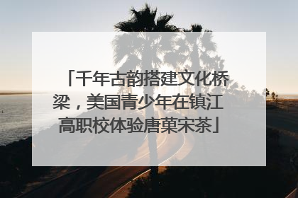 千年古韵搭建文化桥梁，美国青少年在镇江高职校体验唐菓宋茶