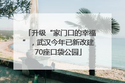 升级“家门口的幸福”，武汉今年已新改建70座口袋公园