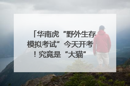 华南虎“野外生存模拟考试”今天开考！究竟是“大猫” 还是顶级猎食者？