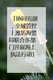 协同亮剑，全域管控丨潍坊海警局联合多部门开展海上执法行动