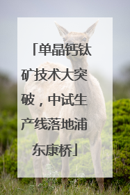 单晶钙钛矿技术大突破，中试生产线落地浦东康桥