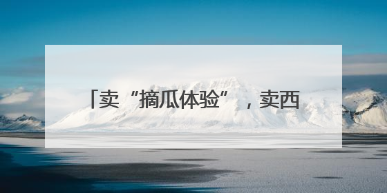 卖“摘瓜体验”，卖西瓜创意甜品，这里的西瓜卖出高价还不愁卖