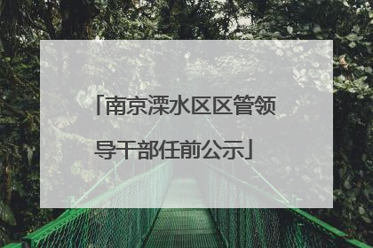 南京溧水区区管领导干部任前公示