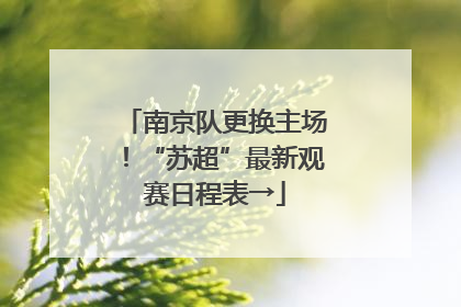 南京队更换主场！“苏超”最新观赛日程表→