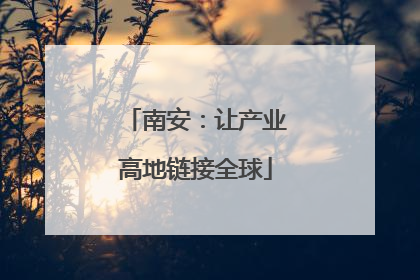 南安：让产业高地链接全球