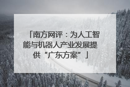 南方网评：为人工智能与机器人产业发展提供“广东方案”