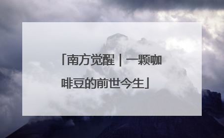 南方觉醒｜一颗咖啡豆的前世今生