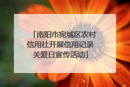 南阳市宛城区农村信用社开展信用记录关爱日宣传活动