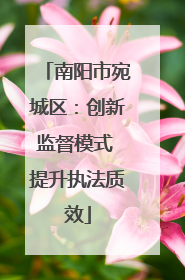 南阳市宛城区：创新监督模式 提升执法质效