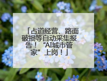 占道经营、路面破损等自动采集报告！“AI城市管家”上岗！