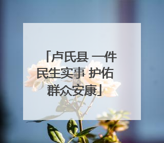 卢氏县 一件民生实事 护佑群众安康