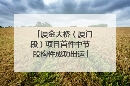 厦金大桥（厦门段）项目首件中节段构件成功出运