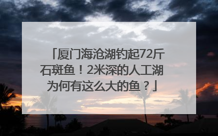 厦门海沧湖钓起72斤石斑鱼！2米深的人工湖为何有这么大的鱼？