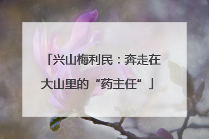 兴山梅利民：奔走在大山里的“药主任”