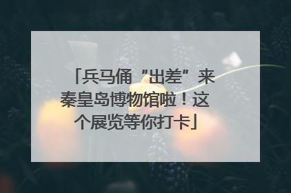 兵马俑“出差”来秦皇岛博物馆啦！这个展览等你打卡