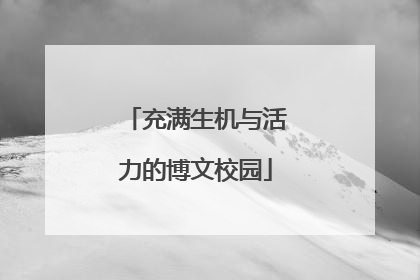 充满生机与活力的博文校园