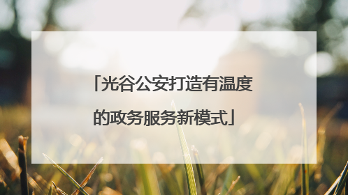 光谷公安打造有温度的政务服务新模式