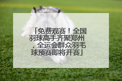 免费观赛！全国羽球高手齐聚郑州，全运会群众羽毛球预赛即将开赛