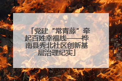 党建“常青藤”牵起百姓幸福线——桦南县秀北社区创新基层治理纪实