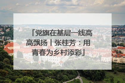 党旗在基层一线高高飘扬丨张桂芳：用青春为乡村添彩