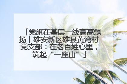 党旗在基层一线高高飘扬丨雄安新区雄县黄湾村党支部：在老百姓心里，筑起“一座山”
