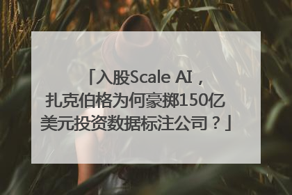 入股Scale AI，扎克伯格为何豪掷150亿美元投资数据标注公司？